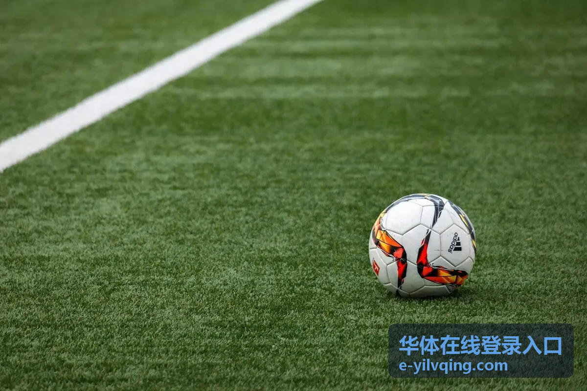 华体在线登录入口网页端登录通道封面