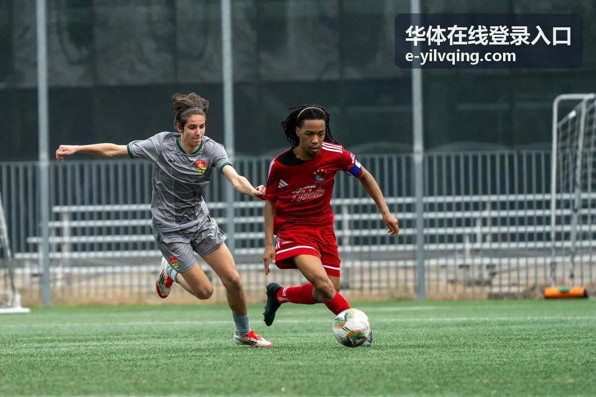 华体在线登录入口异地登录提醒开启示意